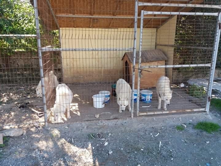 Le Chateau Lambousa Hotel主图