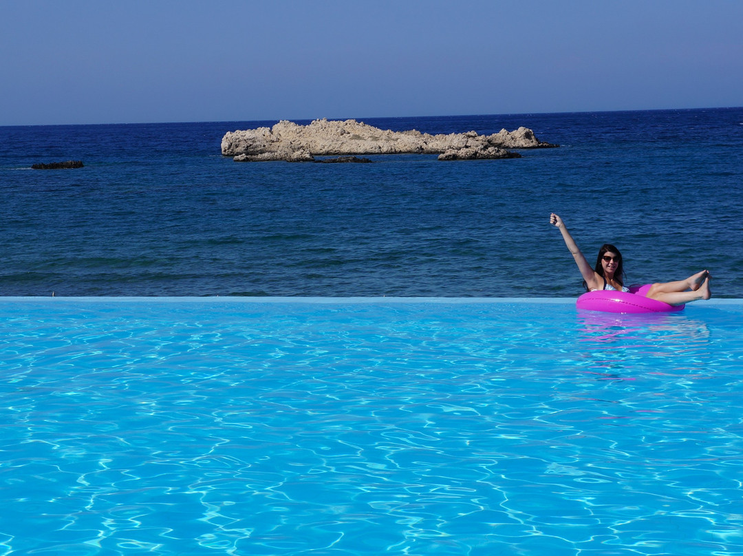 阿丽蒙德马蕾酒店主图