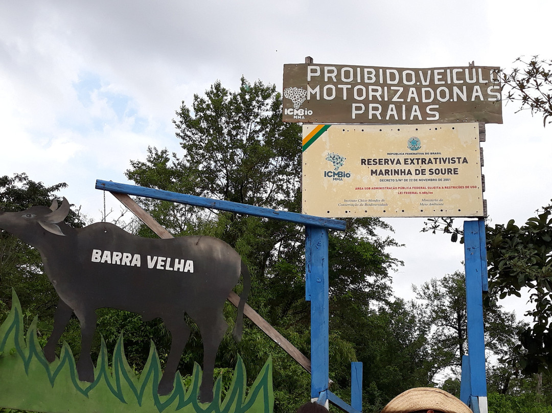 Barra Velha Beach-Ilha do Marajo必去景点