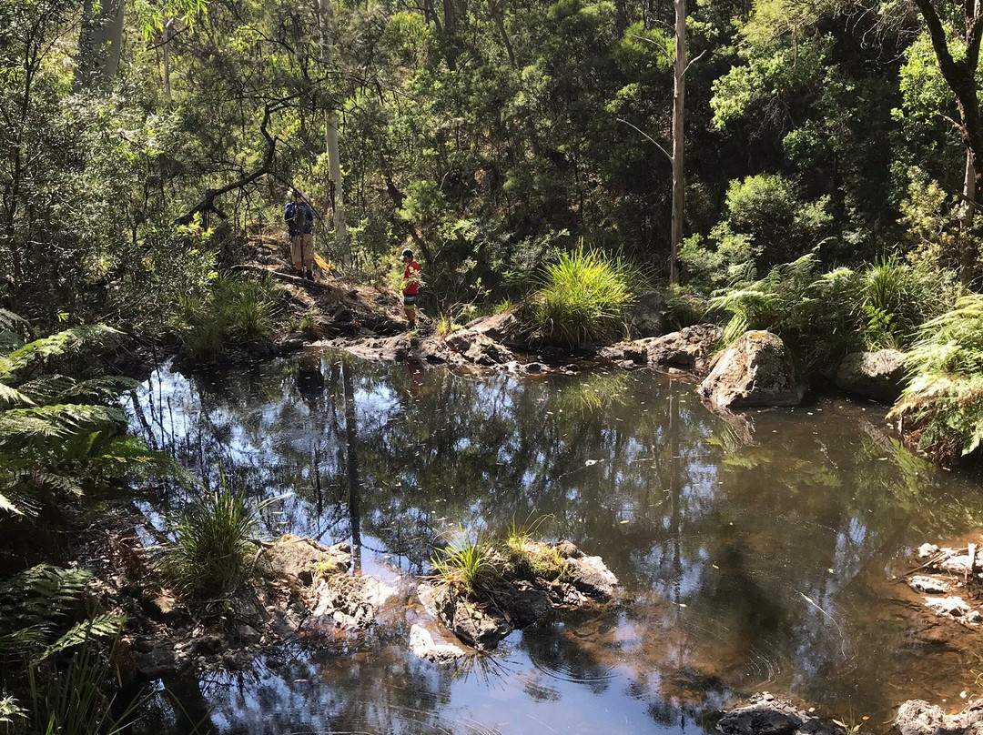 Washpool National Park景点图片