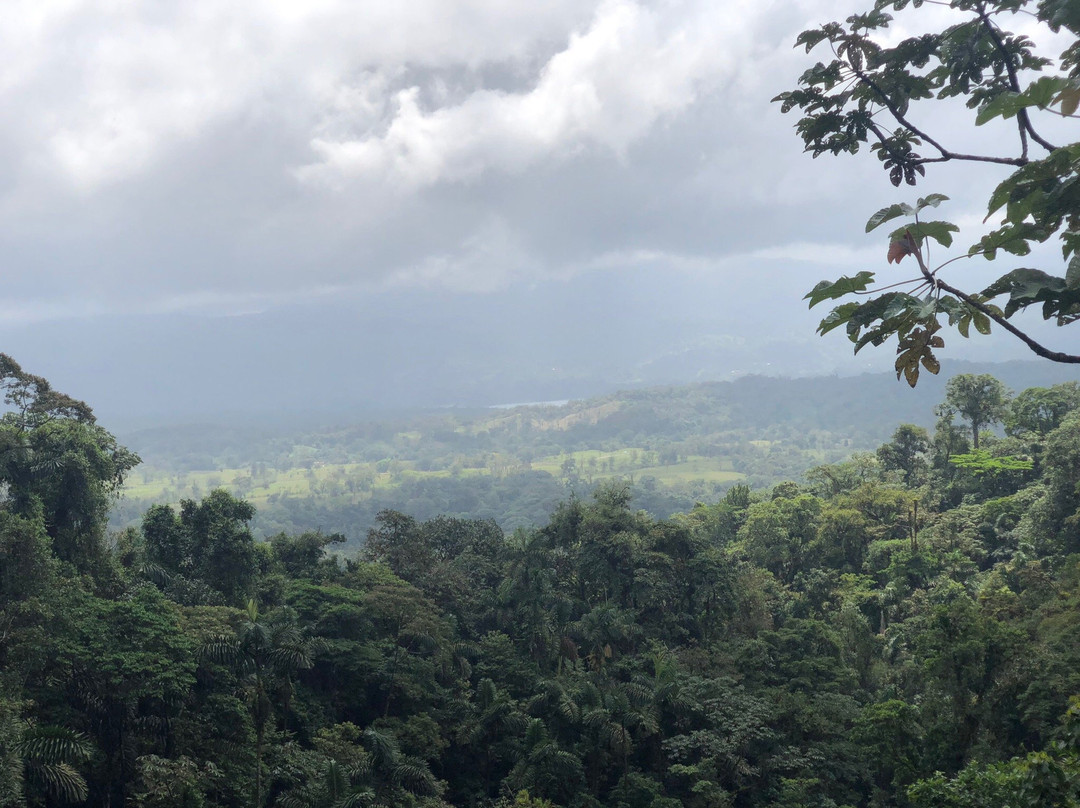 Mistico Arenal Hanging Bridges Park景点图片