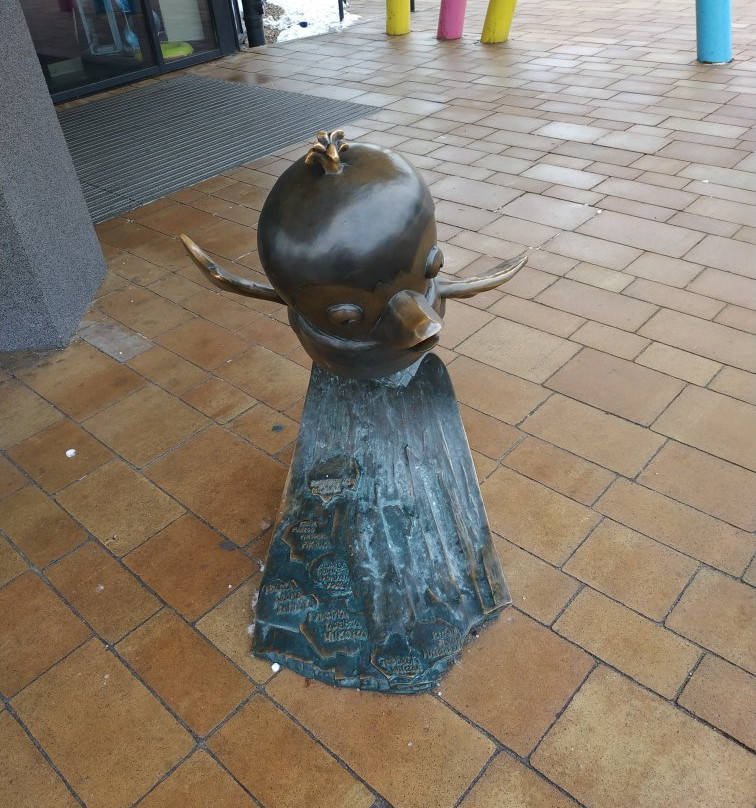 Aquapark Fala景点图片