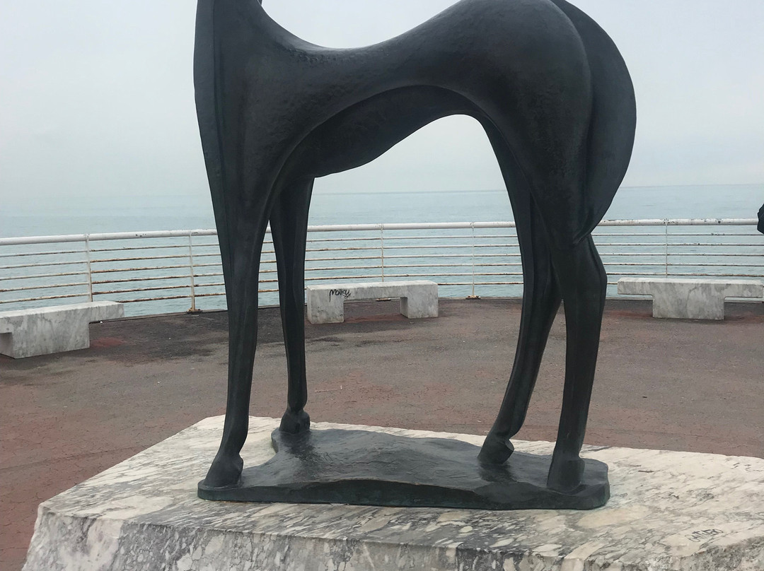 Pontile di Marina di Massa-Marina di Massa必去景点