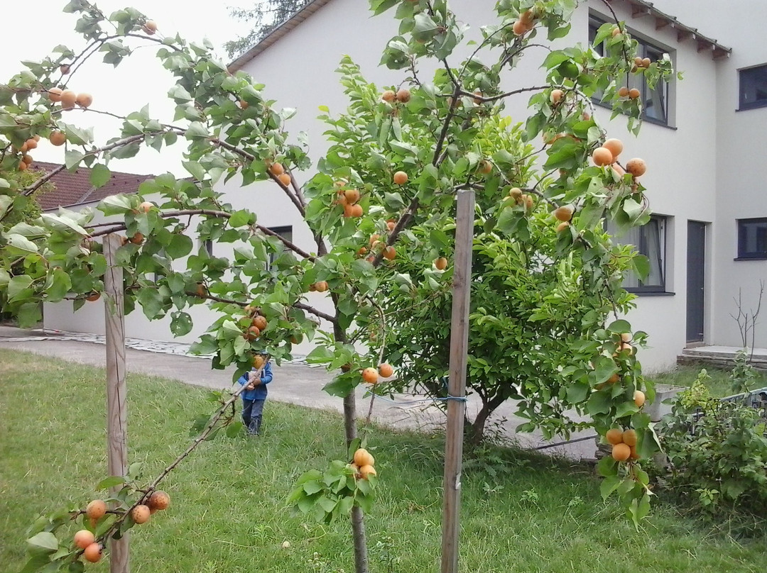 玛丽兰霍夫住宿加早餐旅馆主图