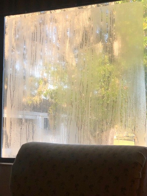 Saddlebrook Resort主图