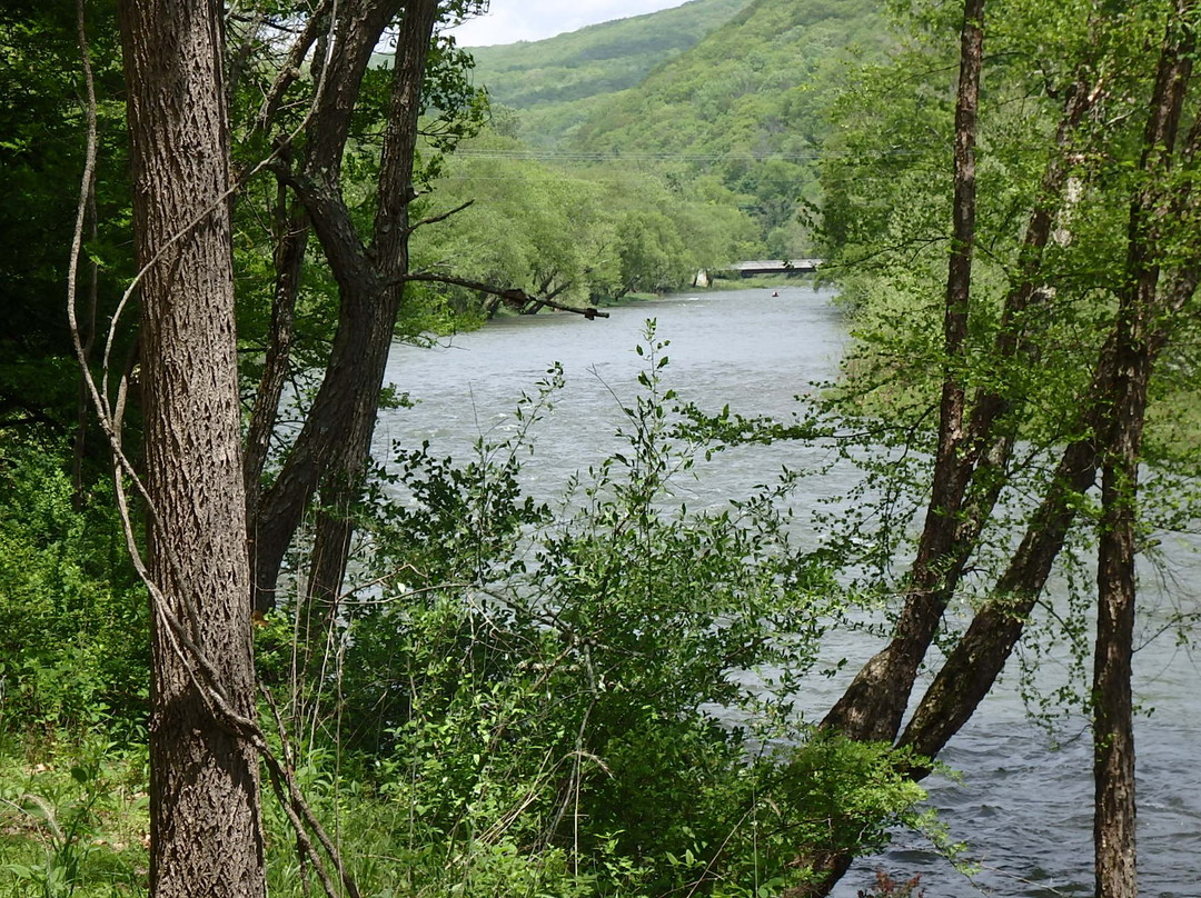 Cass Scenic Railroad State Park景点图片