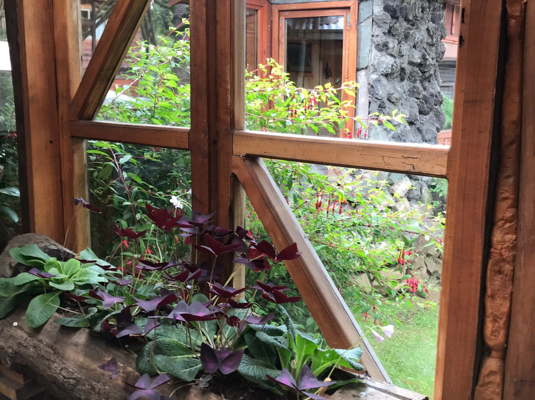 Epu Pewen-Curacautin必去景点