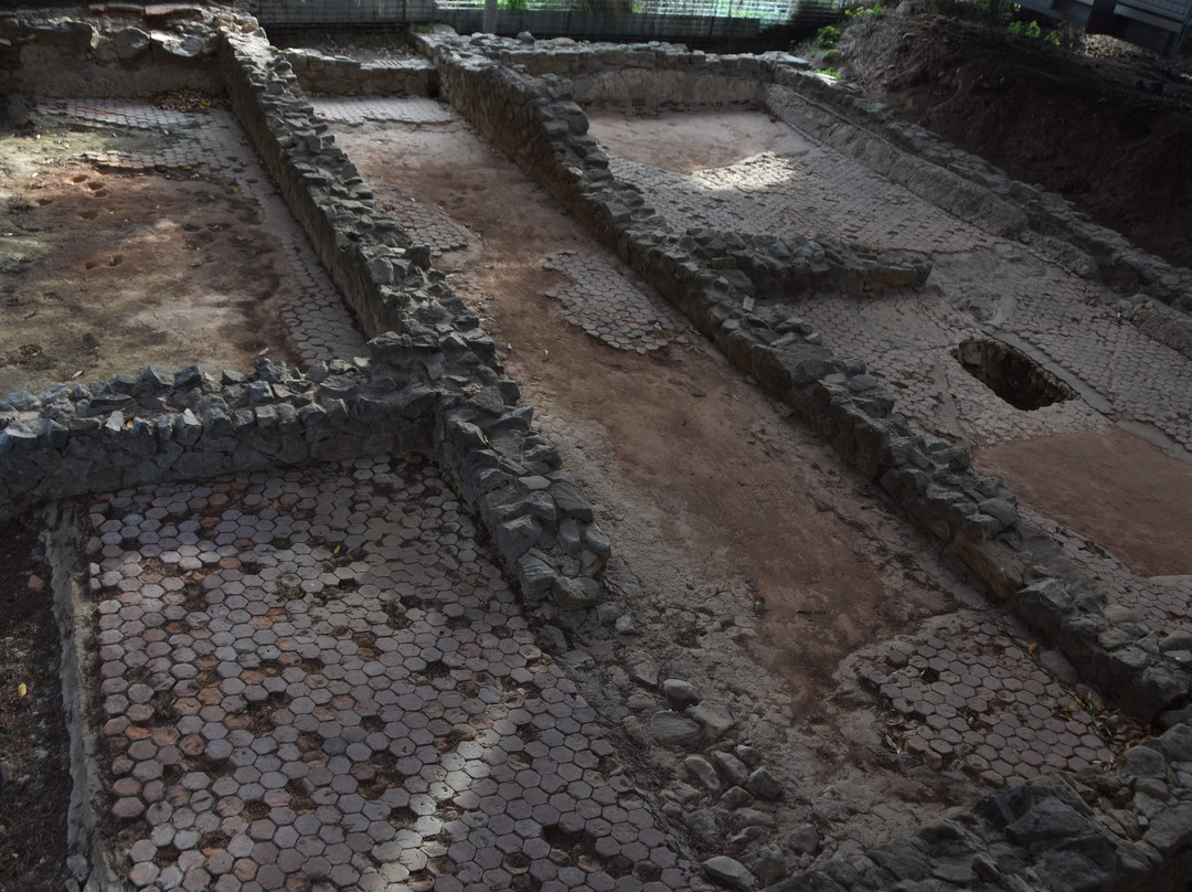 Area Archeologica Massaciuccoli Romana景点图片