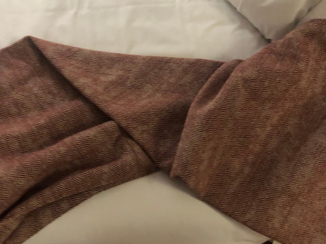 Hotel Grand Pas主图