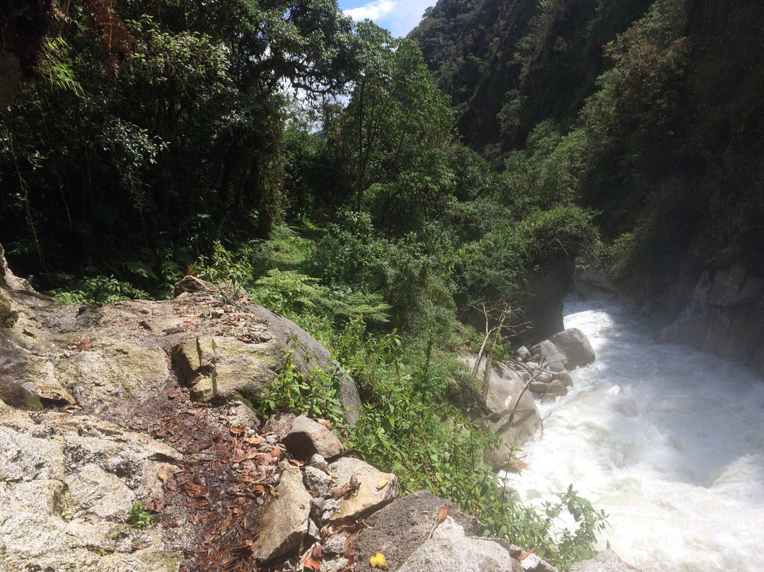 El Choro Trail景点图片