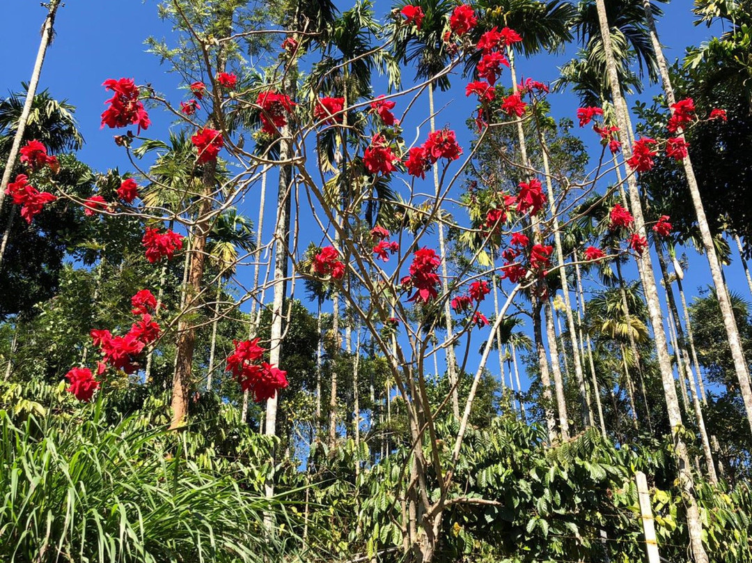 Willow Resorts主图