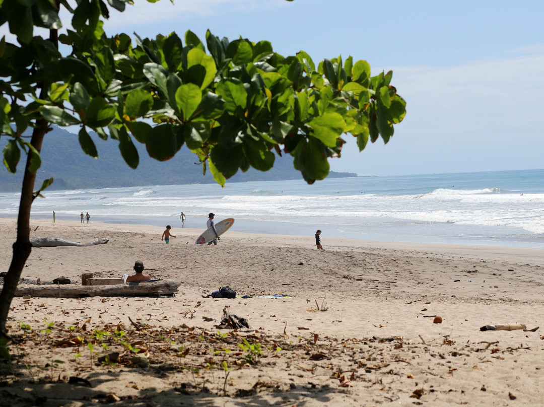 Blue Surf Sanctuary主图