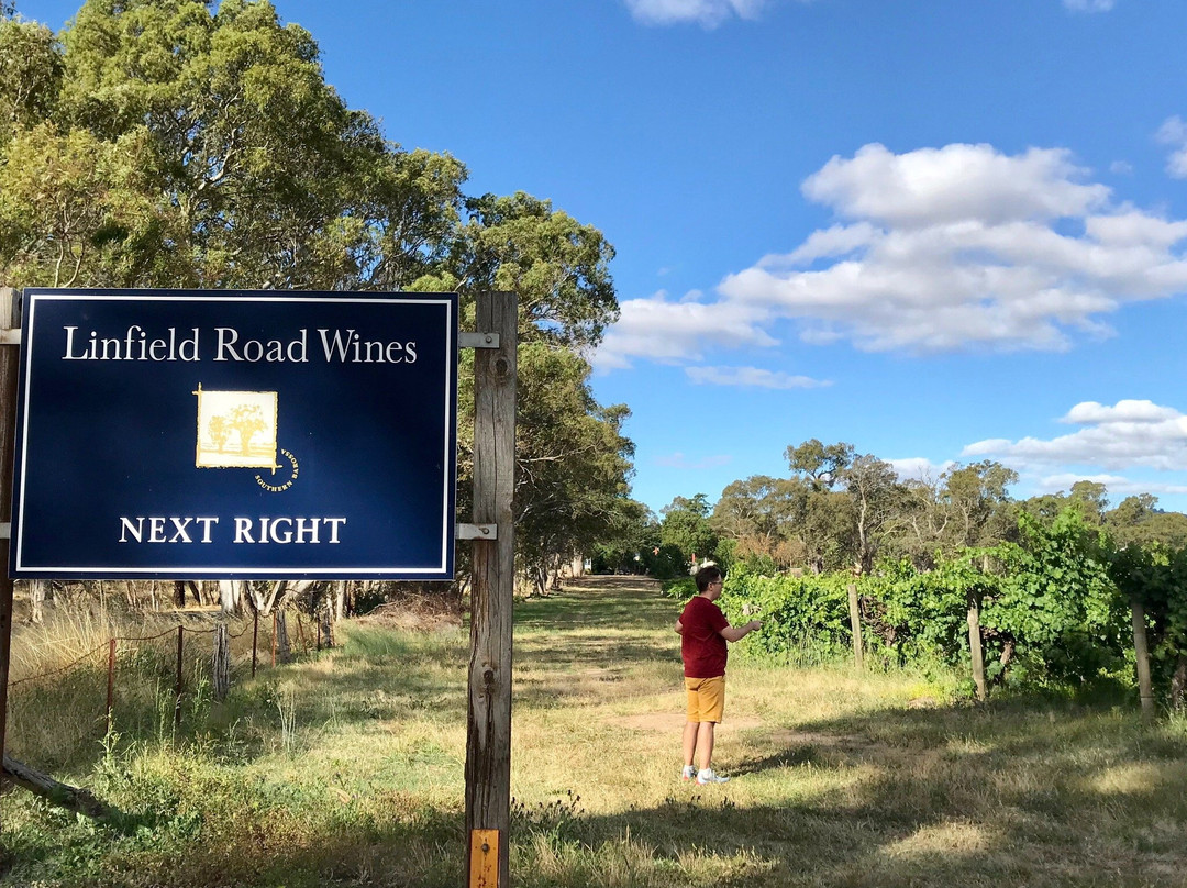 Linfield Road Wines景点图片