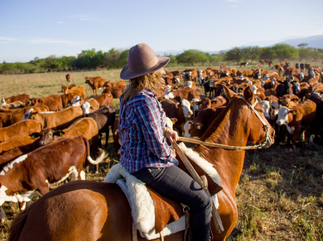 Estancia Zarate主图