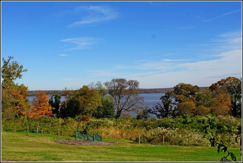 River Farm-亚历山德里亚必去景点
