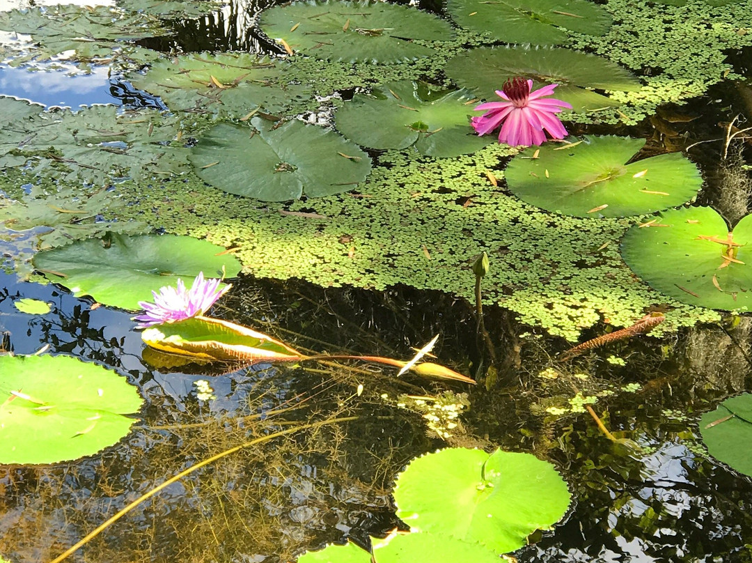 维罗海滩旅游攻略图片
