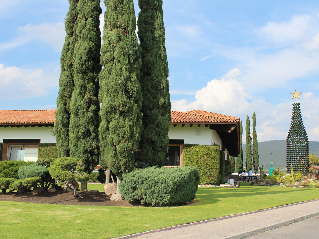 Aarón Trejo-克雷塔罗必去景点