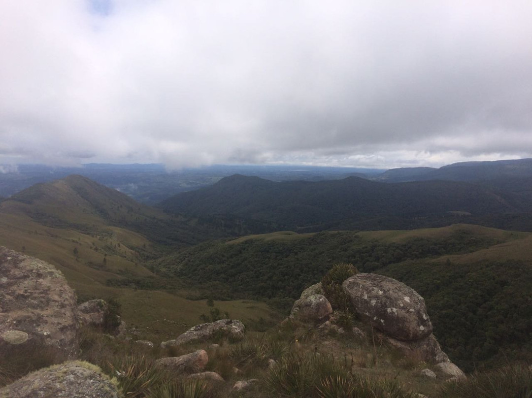 Campos do Quiriri景点图片