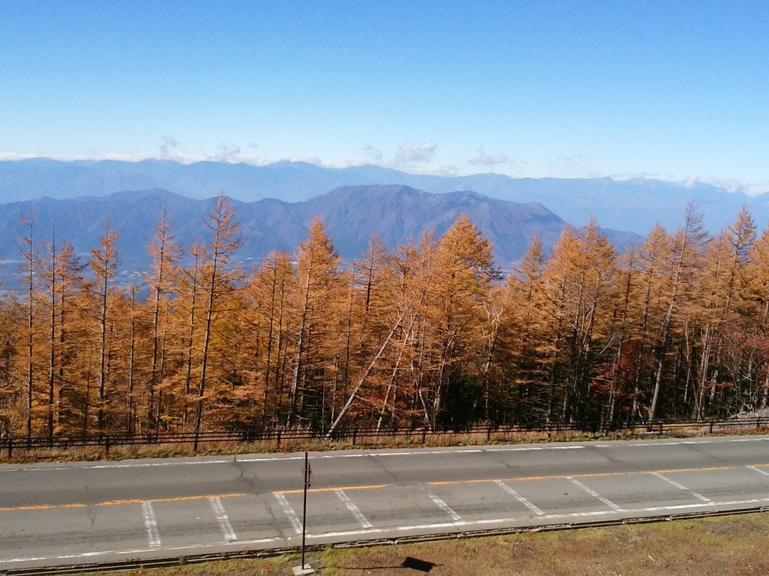 Fuji Subaru Line景点图片