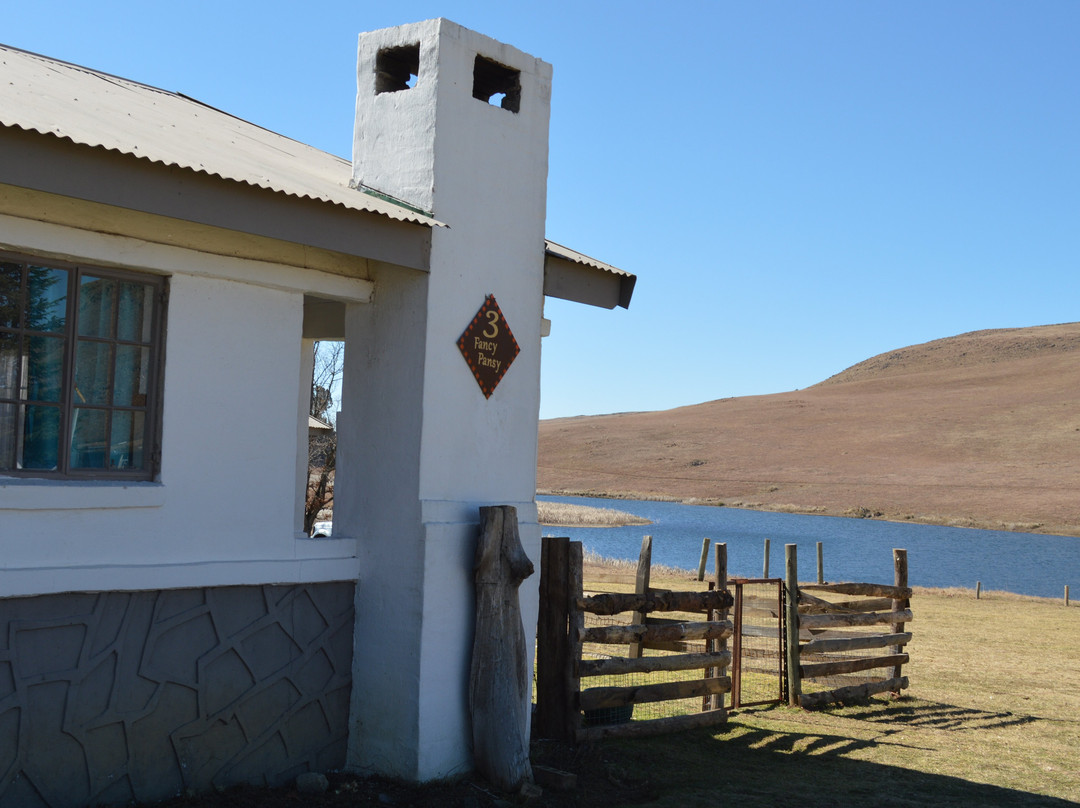 Dullstroom on the DAM