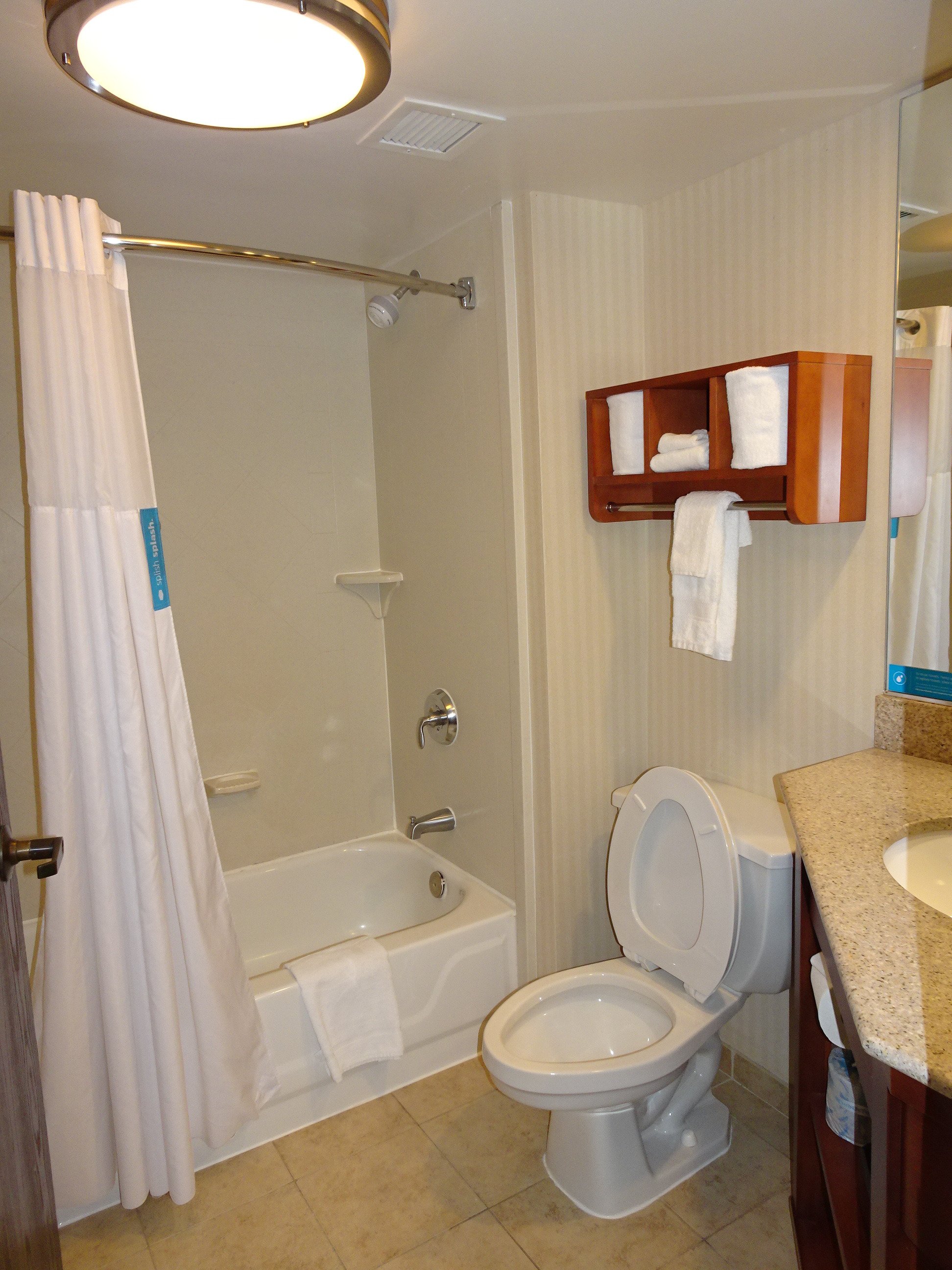 Hampton Inn Charleston-downtown (civic Center)-浴室