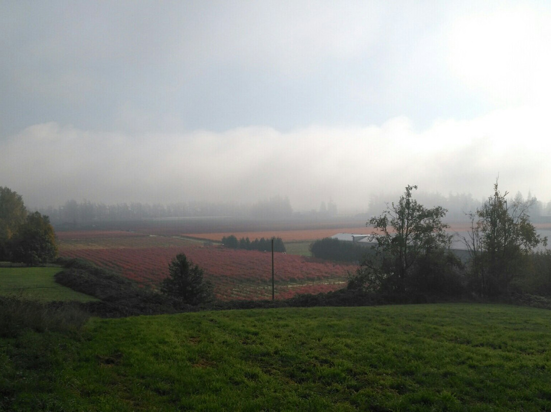 Aldergrove Park-Aldergrove必去景点