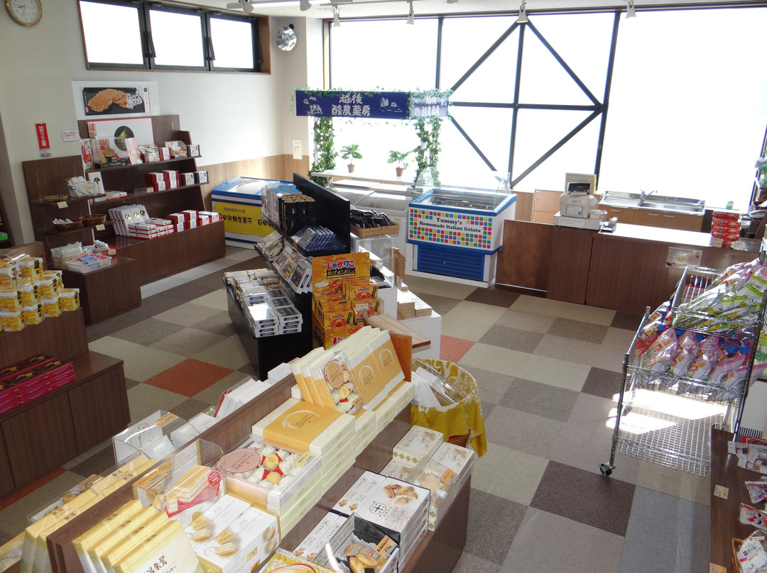Ishiuchi Yung Parunas主图