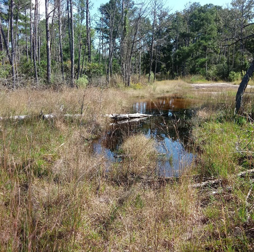 Chattahoochee Bend State Park-纽南必去景点