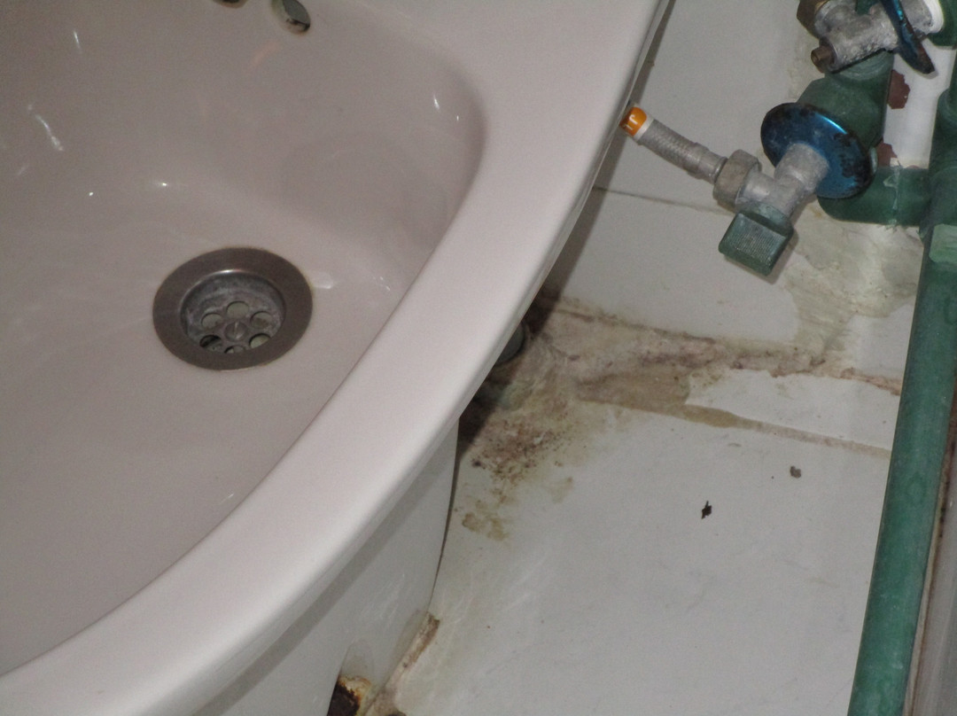 L'Araignee Gourmande主图