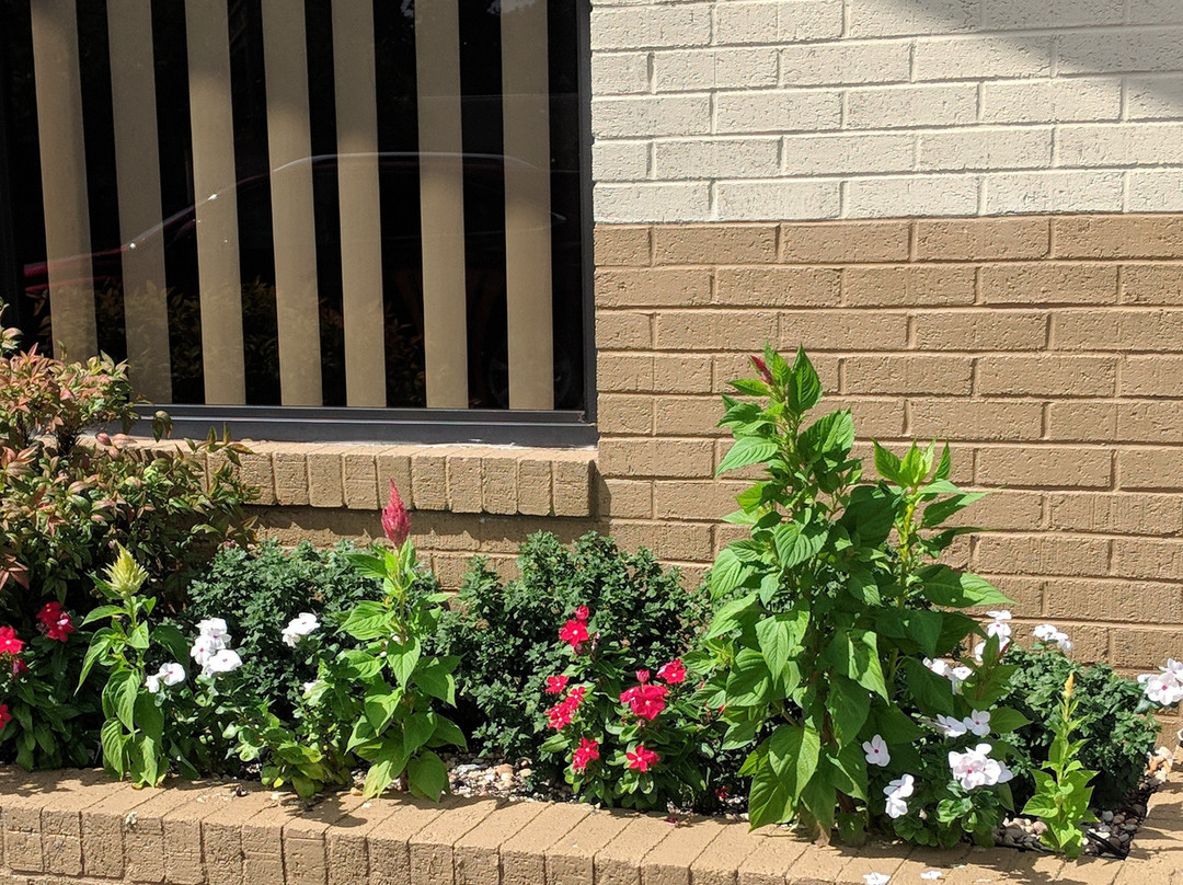 Loyalty Inn Rockingham主图