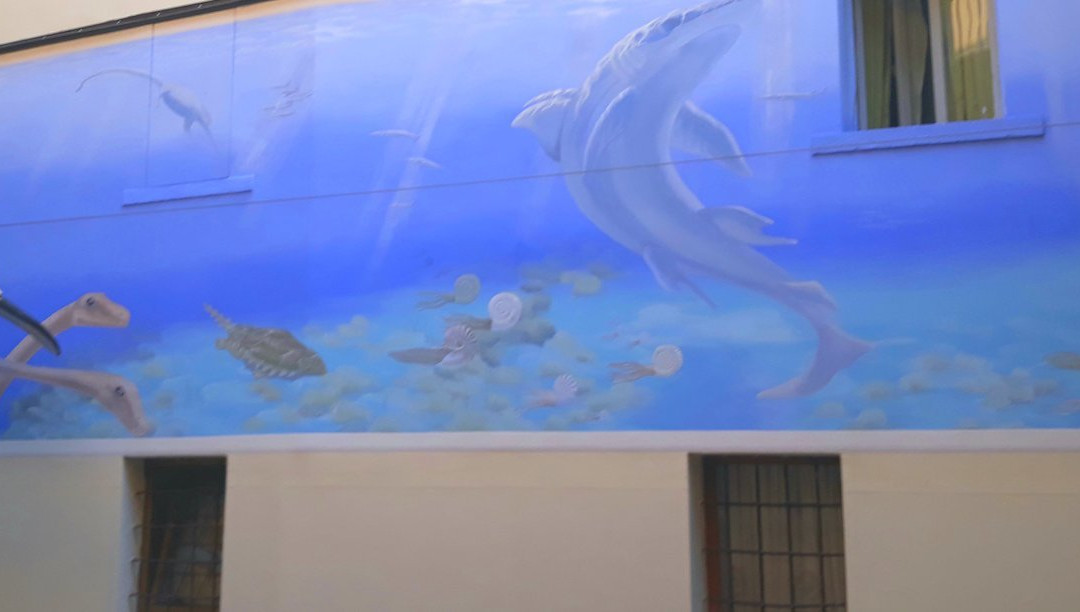 Museo Civico dei Fossili di Besano景点图片
