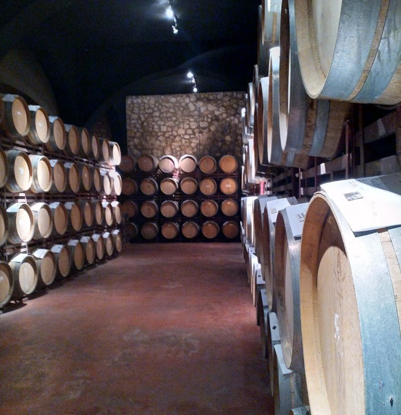 Bodegas Enguera景点图片