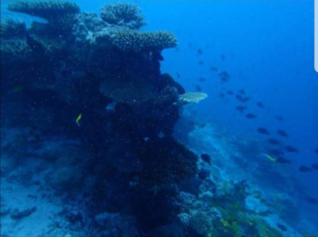 Goby Lodge guest house主图