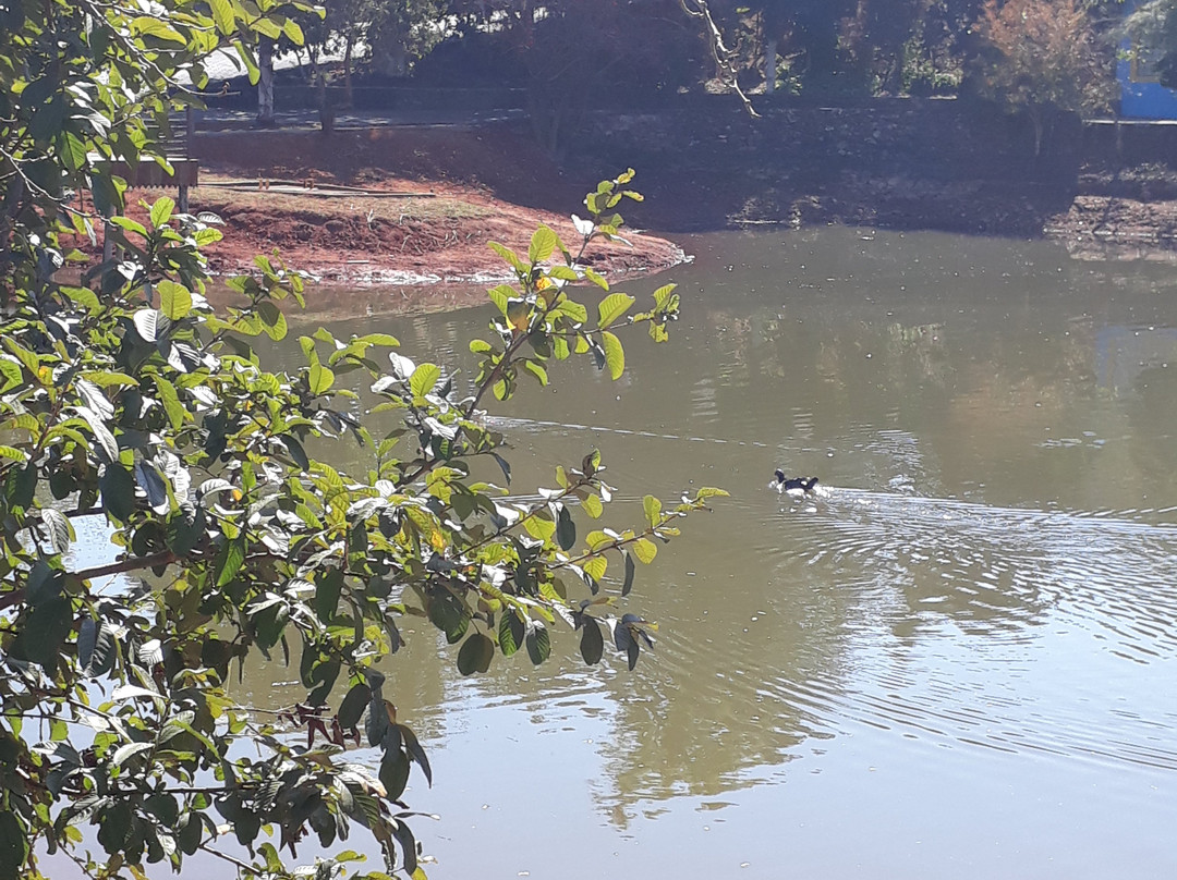 Lago dos Palomos-Ouro Fino必去景点