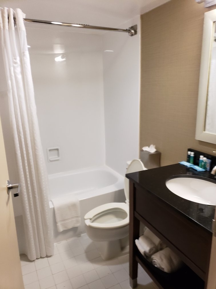 Holiday Inn Express Washington DC SW - Springfield, an IHG Hotel-浴室