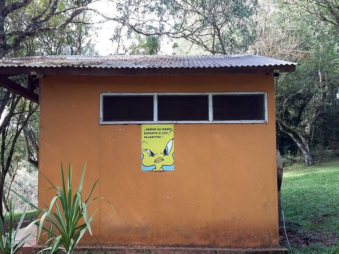 Salto Krysiuk-Guaraní必去景点