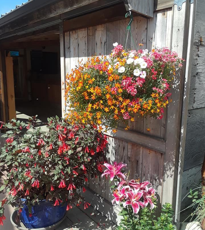 Finnriver Orchard & Cider Garden景点图片
