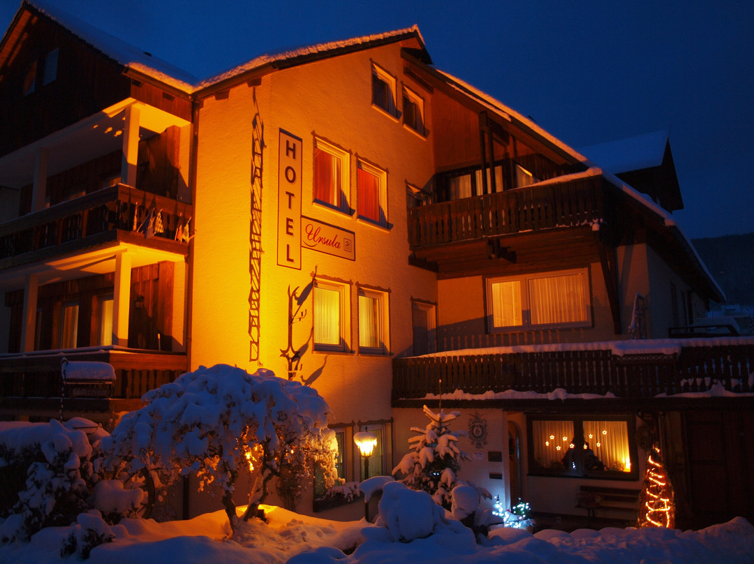Hotel Ursula Bad Bruckenau主图