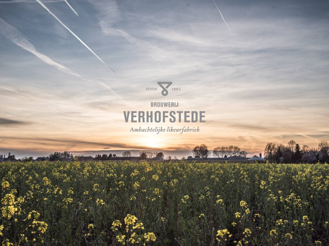 Brouwerij Verhofstede景点图片