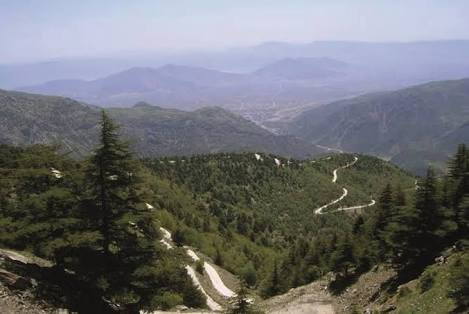 Alleben Tabiat Parki景点图片