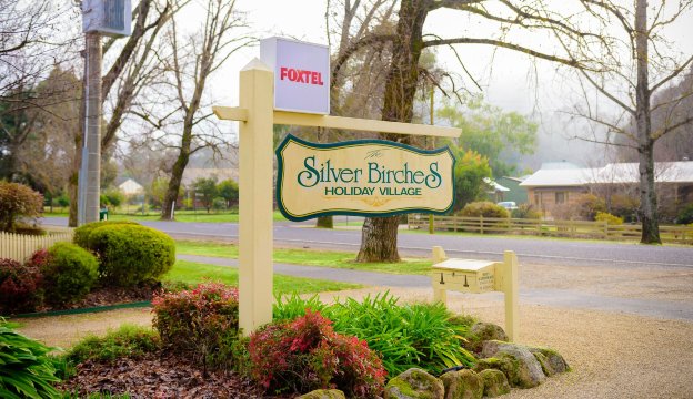 桦树别墅酒店 - 银桦-官方