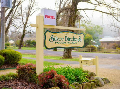 桦树别墅酒店 - 银桦主图