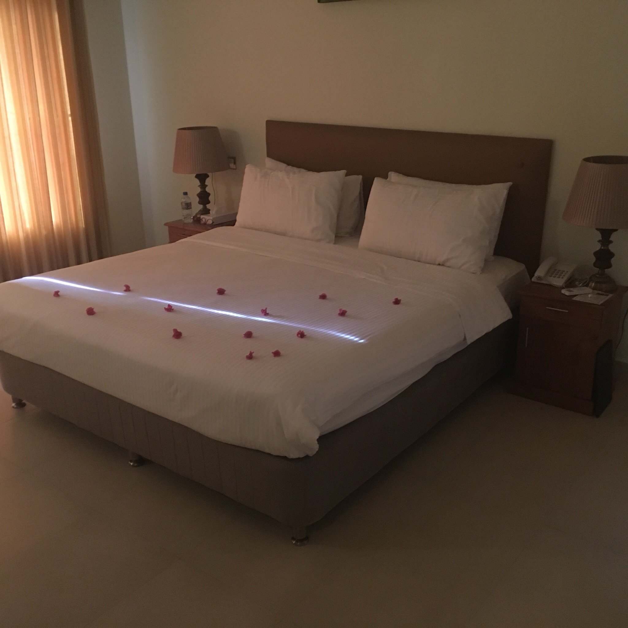 Sungreen Resort Habarana-官方