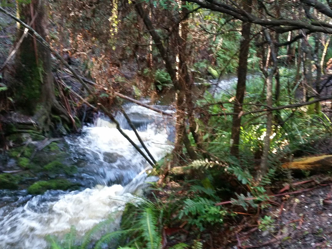 Holwell Gorge State Reserve-Holwell必去景点