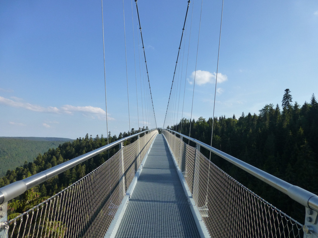 WildLine Hängebrücke景点图片
