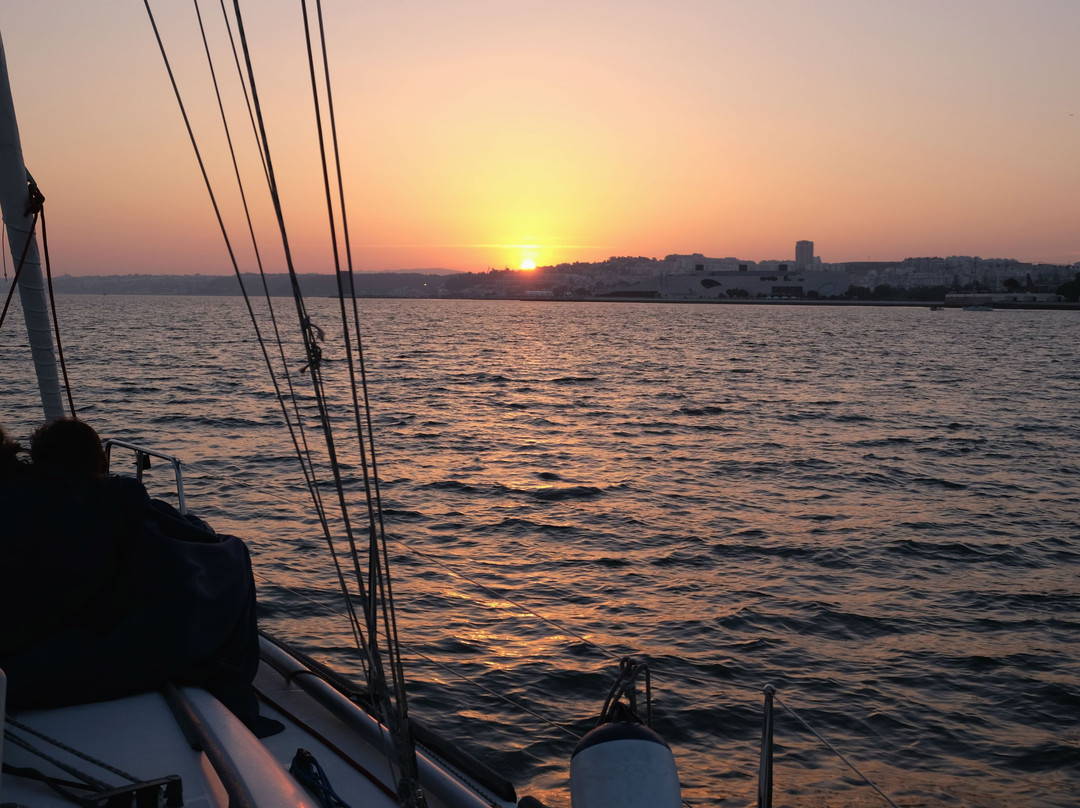 Discover Oasis - Boat Tours-里斯本必去景点