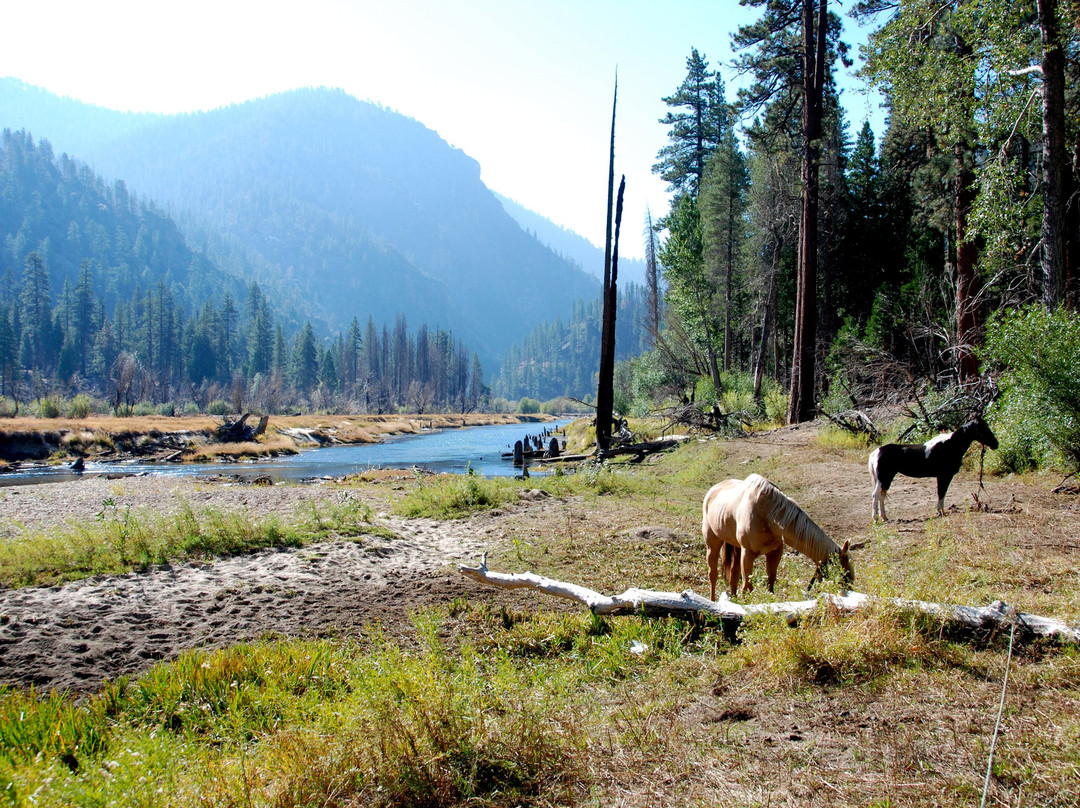 Golden Trout Wilderness Packtrains-Springville必去景点