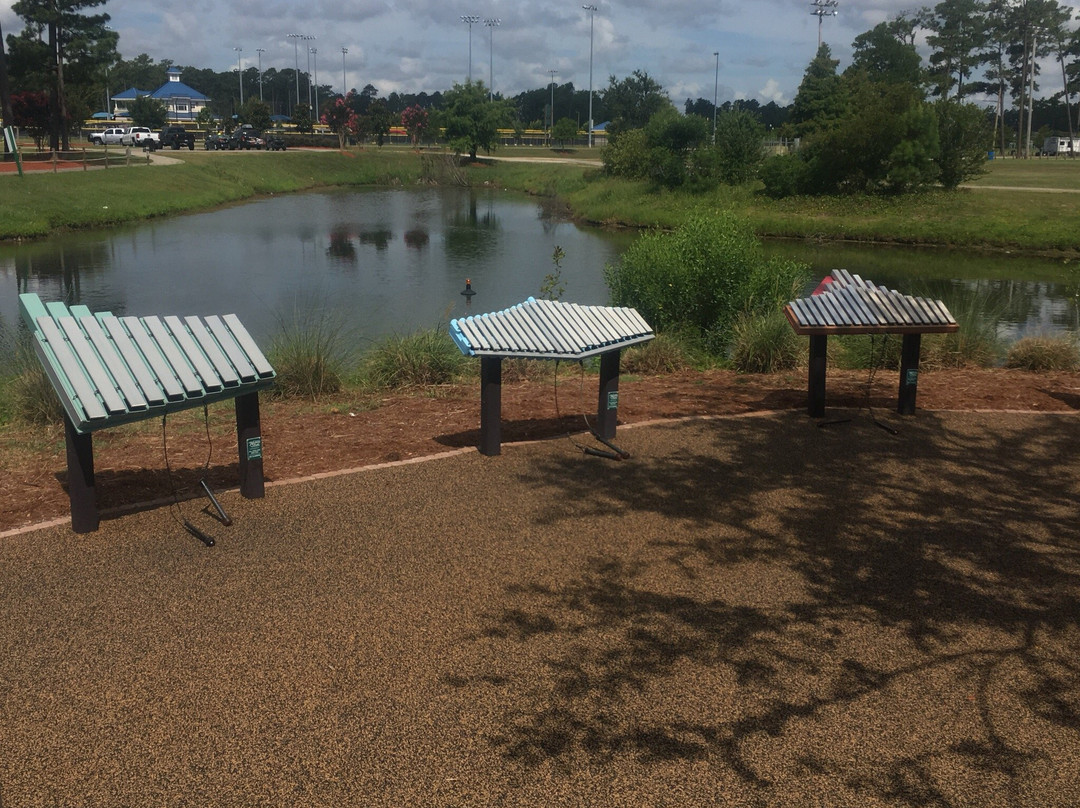 Savannah's Playground景点图片