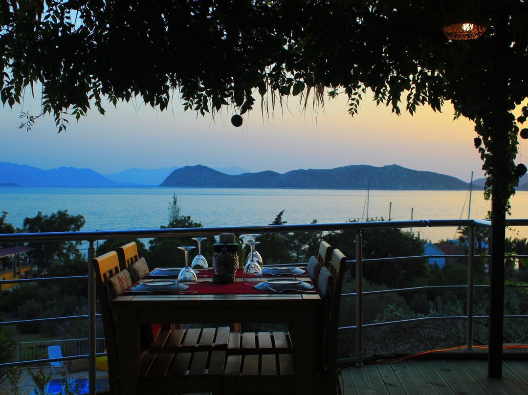 Lotus Pansiyon主图