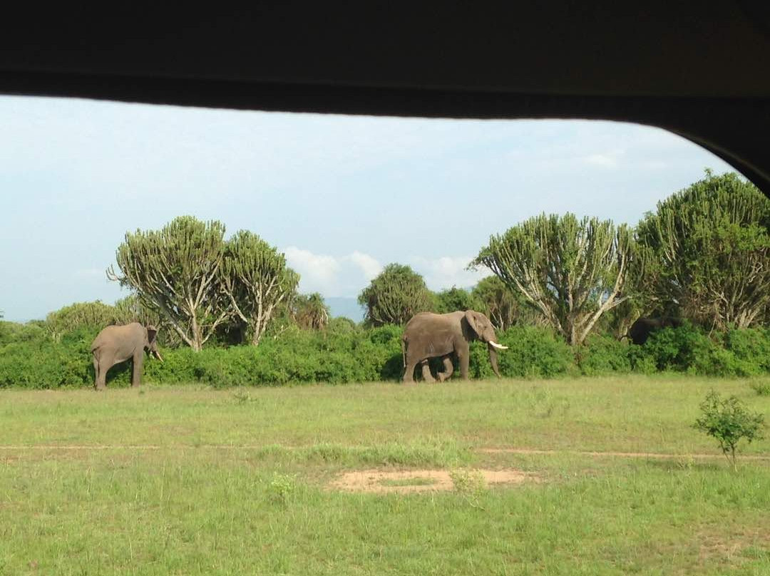 Bowi Africa Tours And Travel景点图片